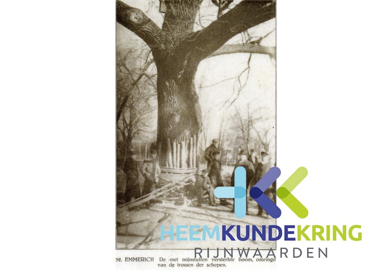 WinterOpDenRijn.25 coll RWS HK Rijnwaarden F000001026)